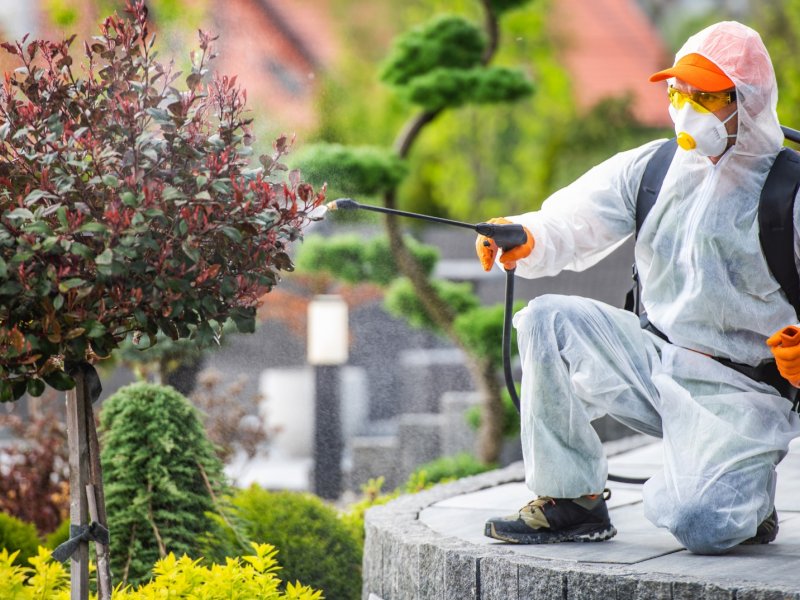 Esenler Haşere İlaçlama