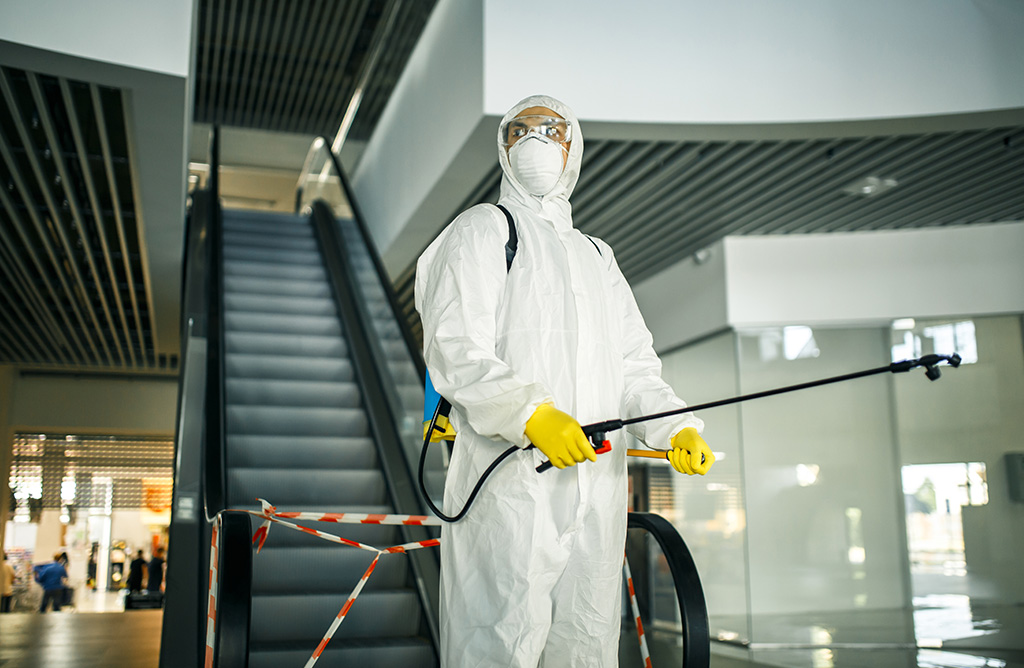 Esenler Haşere İlaçlama